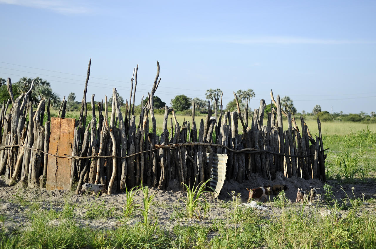 Ongula Village Homestead Lodge Omupumba Exterior foto